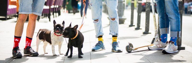 Colectie noua sosete Madam Mitza